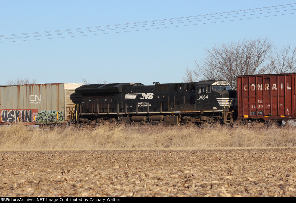 NS 3664